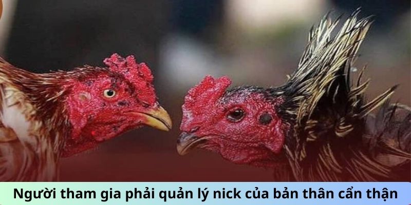 Người tham gia phải quản lý nick của bản thân cẩn thận